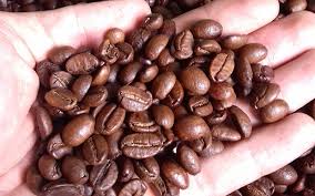Hạt cà phê Arabica