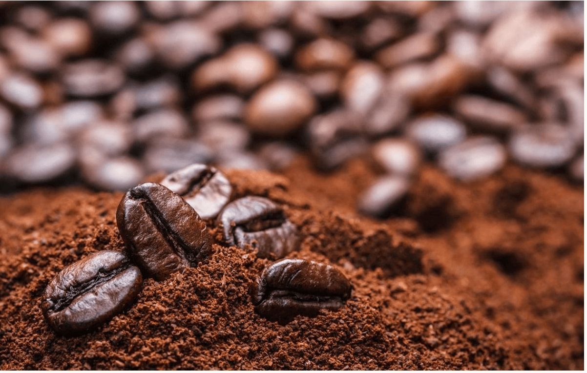 Giá cà phê hôm nay