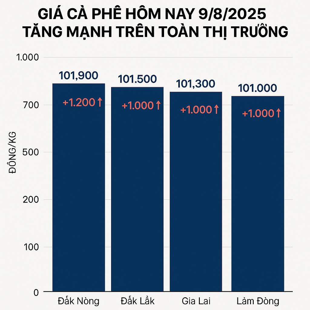 Giá cà phê hôm nay 9/8/2025