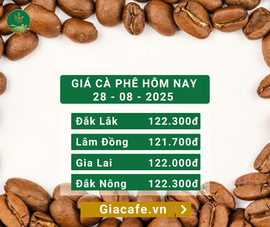 Giá cà phê hôm nay 25/08/2025