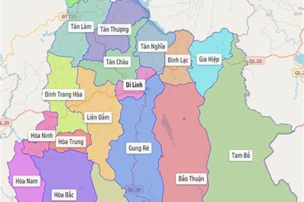 Giá cà phê hôm nay tại Di Linh và Tây Nguyên lên bao nhiêu?