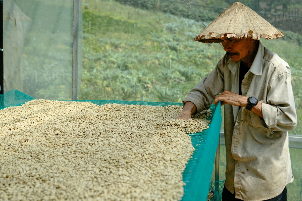 Những lợi thế nếu xuất ngay