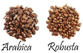 So Sánh Giá Cà Phê Arabica & Robusta