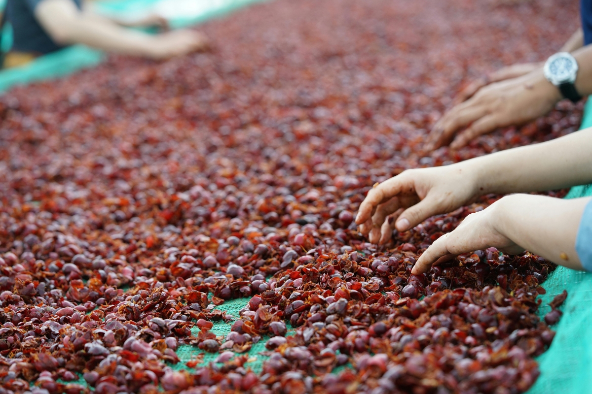 Những lý do có thể nên chờ giá cao hơn