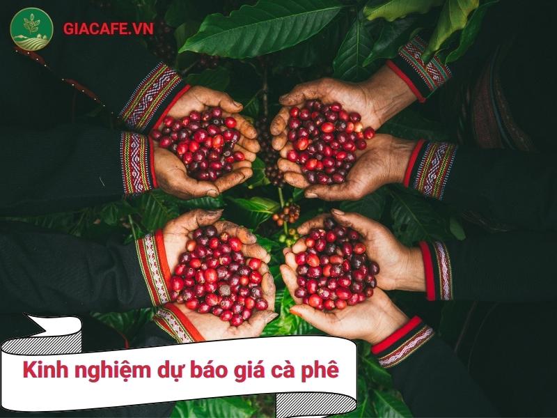 GIACAFE.VN