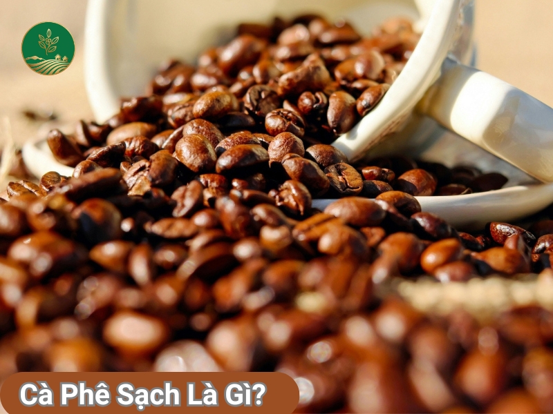 cà phê sạch