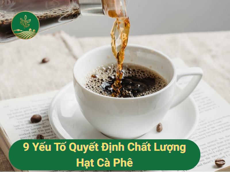 Chất lượng hạt cà phê