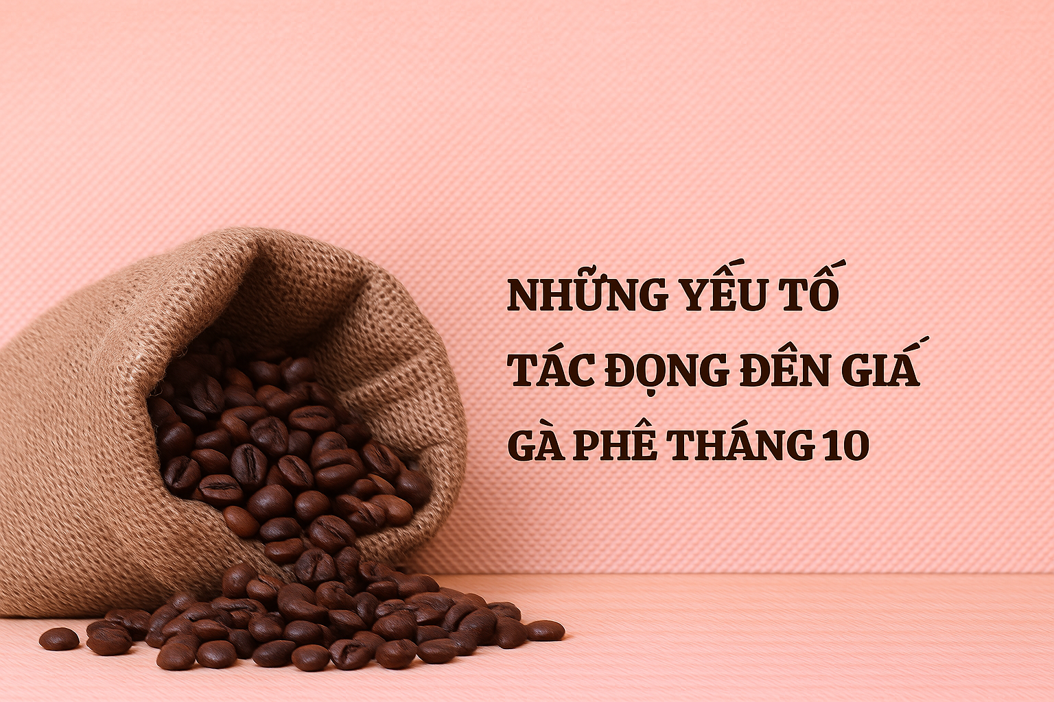 Những yếu tố chính tác động đến giá cà phê tháng 10