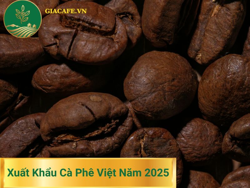 Xuất khẩu cà phê Việt Nam 2025