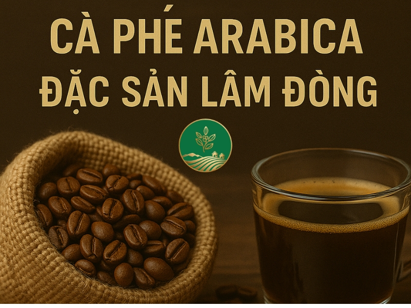 arbica ca phe