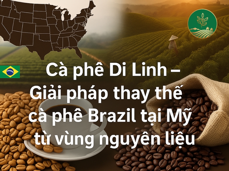 ca phe di linh