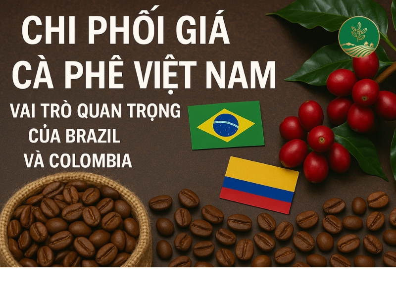 gia ca phe Viet Nam