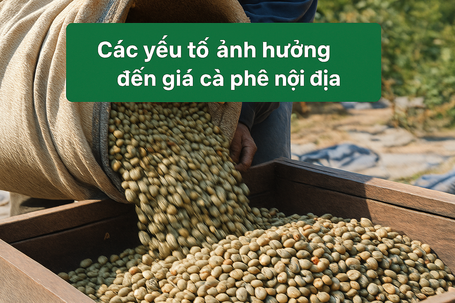 Các nguyên nhân chính dẫn đến độ trễ