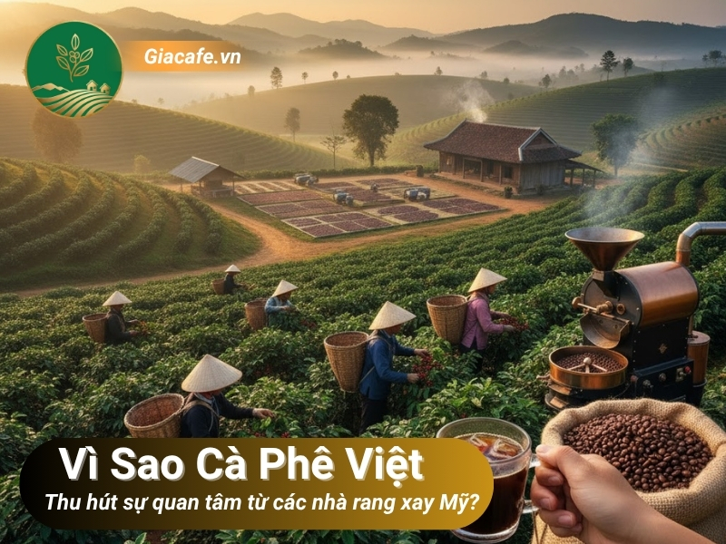 ca phe Viet