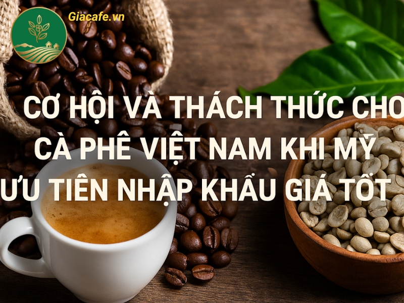 ca phe viet nam 2