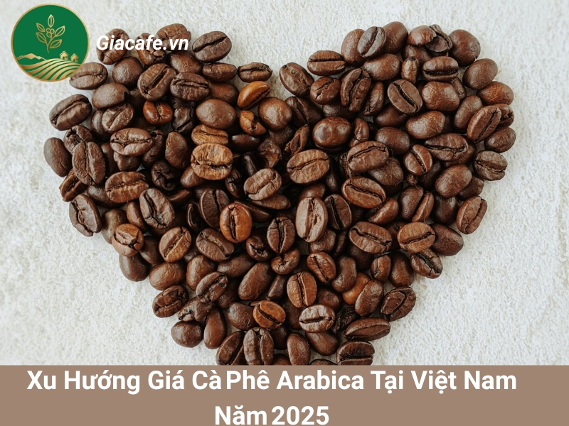 xu huong gia ca phe
