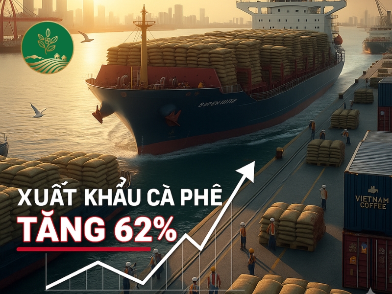 xuất khẩu cà phê