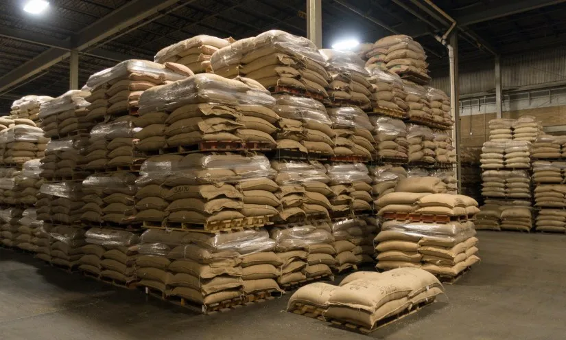 Lý do khiến giá cà phê giảm trong nước và quốc tế