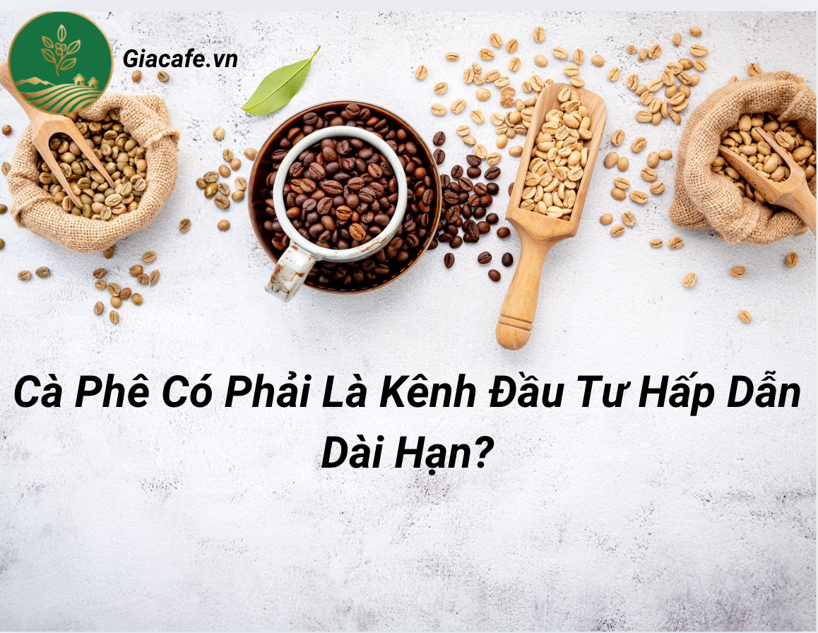 ca phe dua tu dai han