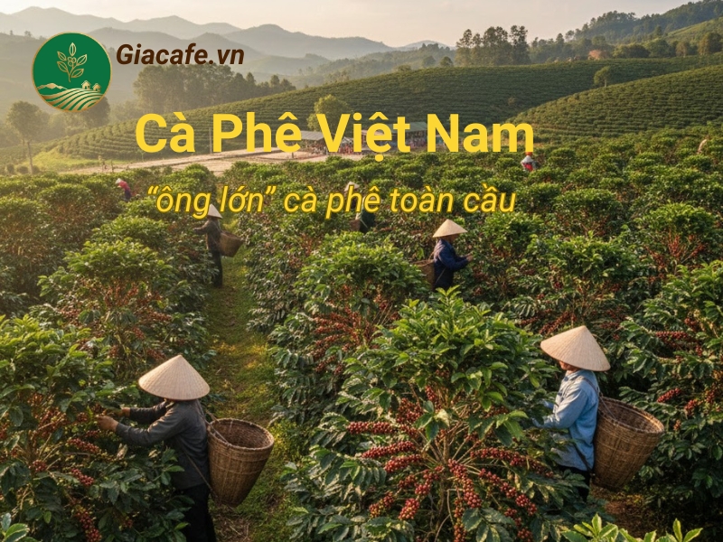 ca phe viet nam