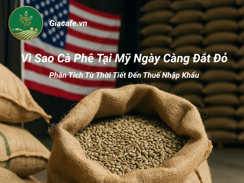 gia ca phe tai My
